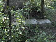 c09