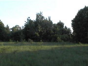 c13