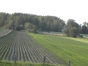 Gorczakow 2
